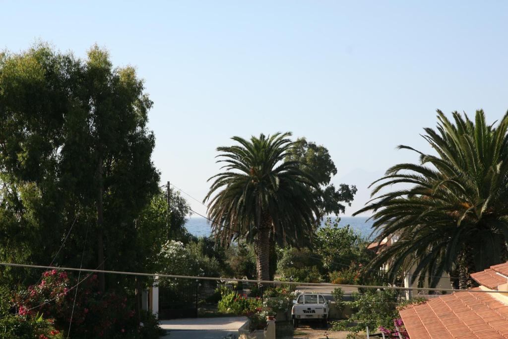אצ'ארבי Feeloxenia Corfu Apartments מראה חיצוני תמונה